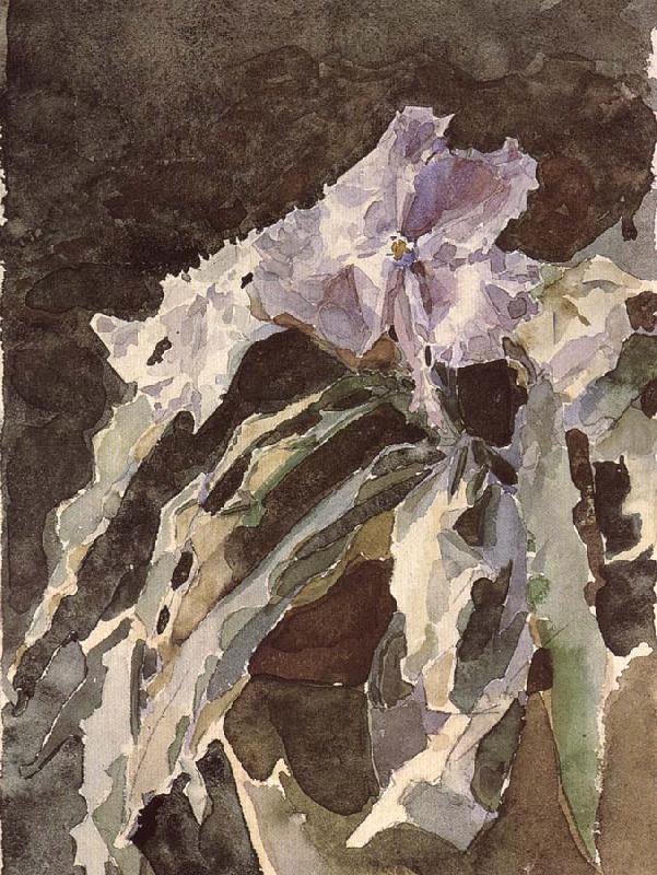 Orchid, Mikhail Vrubel